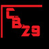 logo CodeBro29