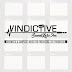 Vindictive Sound Labs, Inc.