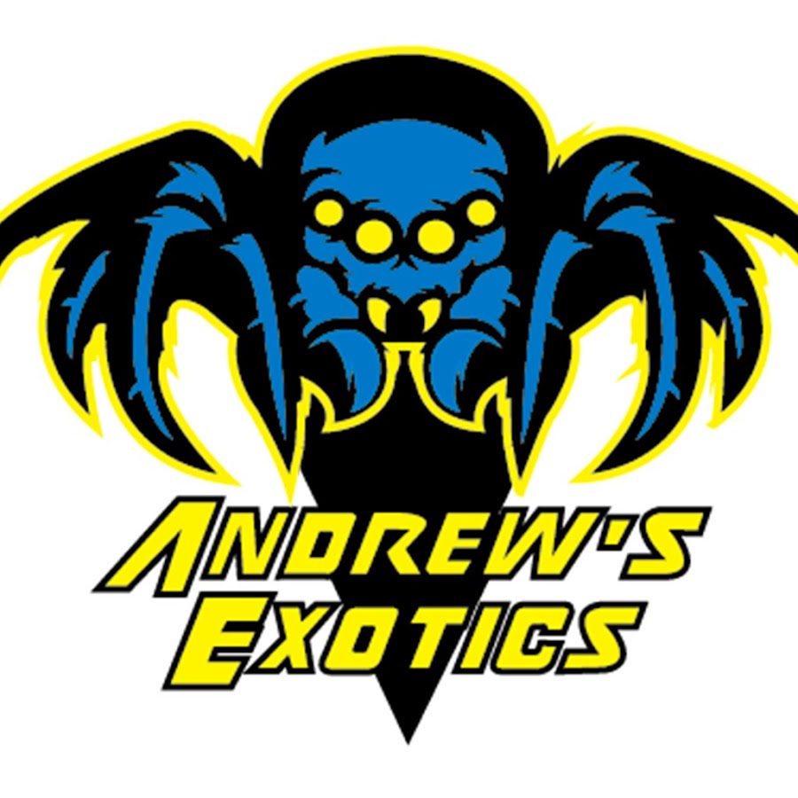 Andrew's Exotics