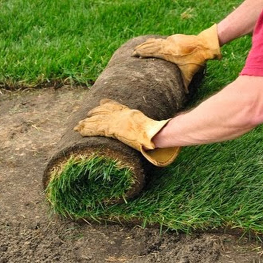 How Many Pieces Of Sod For 100 Sq Ft