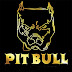 PIT BULL