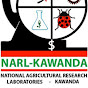 National Banana Research Program - Uganda