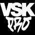 logo VSK pro