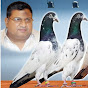 Ch Sakhi Muhammad Bhatti Pigeons