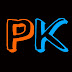 logo PK Expert