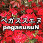 pegasusuN　Channel　【Japanese music and brass band】