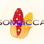 SOMEICCA A. C.