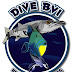 logo DIVE BVI