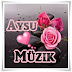 aysu müzik