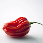 red habanero