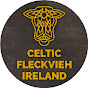 Celtic Fleckvieh Ireland