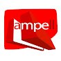 Ampell Consultores Asociados