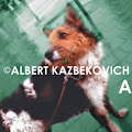 Artist Thumbnail