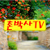 촌박사TV