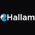 logo eHallam Tech Solutions