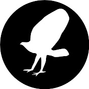 Pardus Eidolon