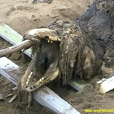 TheUnexplainedPlanet