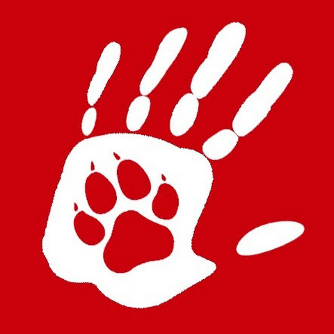 4EverDogs