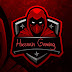 logo Hussnain Gaming