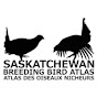 Saskatchewan Programs - Birds Canada