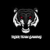 TigerTeam Gaming