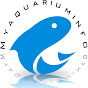 Myaquariuminfo