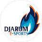 Djarum Esports