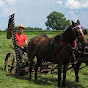 Chevaux Claude Tellier