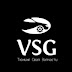 logo VSG