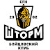 logo stormgymonline