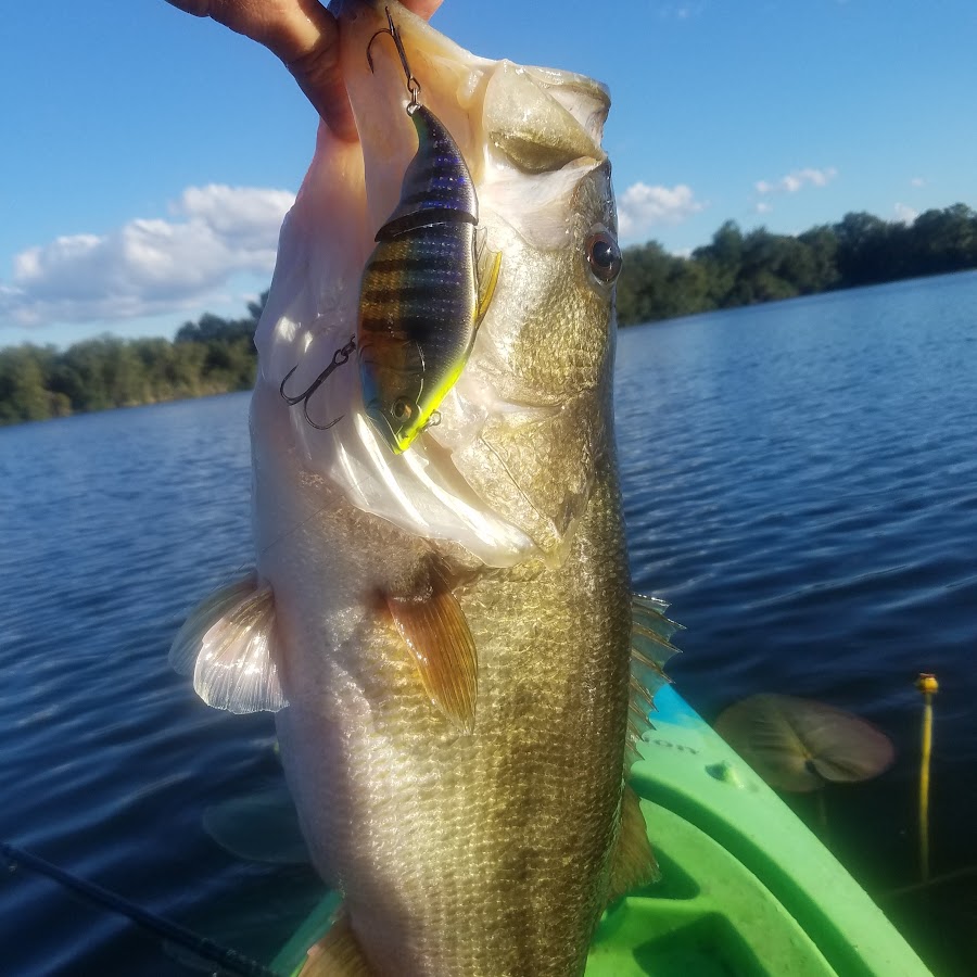 FIRE 🔥 #bassfishing #fishinglife #favoritefishing #fishing #fishtok #, fishing videos