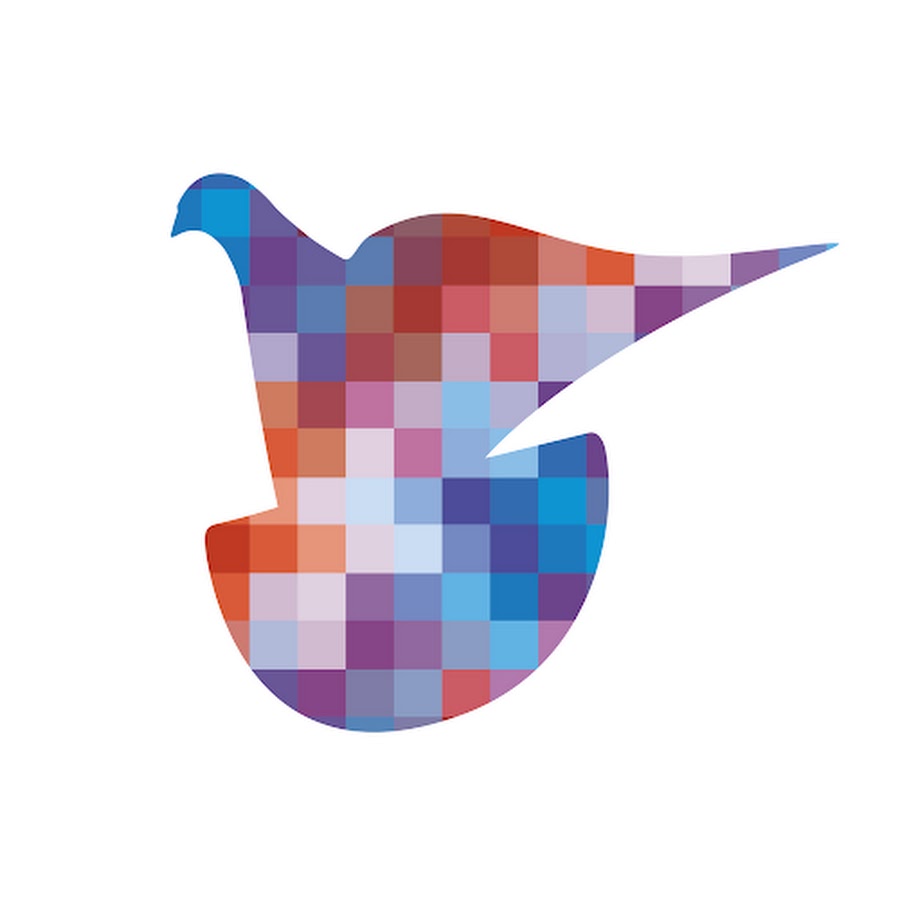 Pigeon Pixels @pigeonpixels