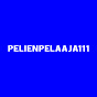 pelienpelaaja111