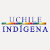 UChile Indígena