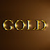 logo GOLDEN CHANNEL