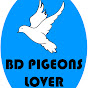 BD Pigeons Lover