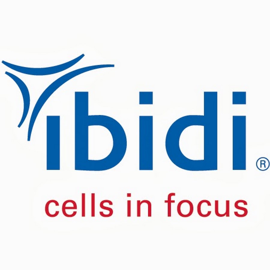 ibidi – cells in focus - YouTube