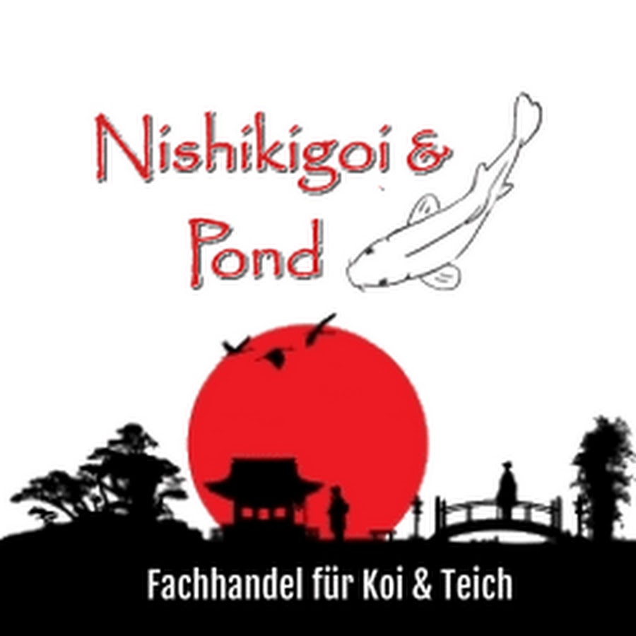 Nishikigoi und Pond Fachhandel für Koi und Teich YouTube