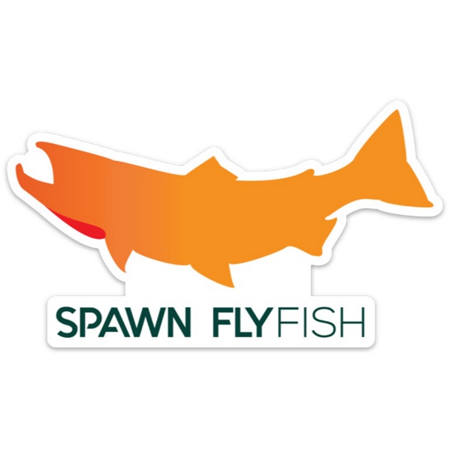 Hooks, Shanks & Jigs - Spawn Fly Fish– Spawn Fly Fish