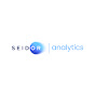 SEIDOR Analytics