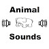 Animal Sounds