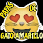 patas de GATO AMARILLO