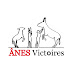 logo Ânes Victoires