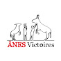 Ânes Victoires