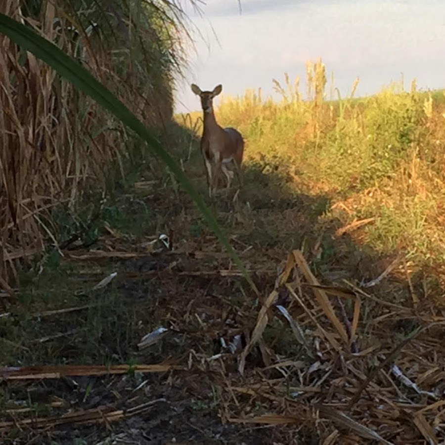 Hunting Florida @huntingflorida