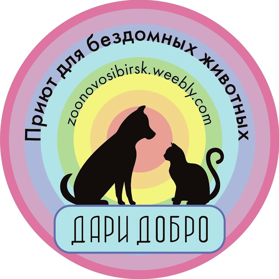 Приют для бездомных животных Россия Новосибирск