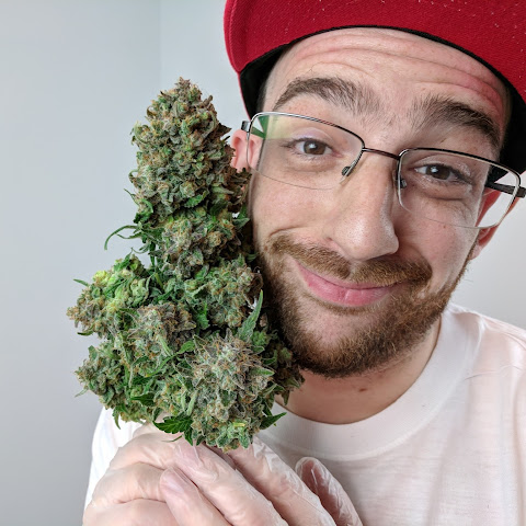 MrCanucksGrowGuide