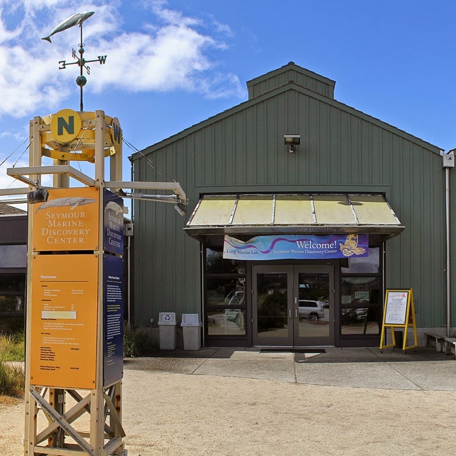 Seymour Marine Discovery Center YouTube