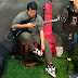 logo nando NO_AJA