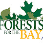 Forests for the Bay